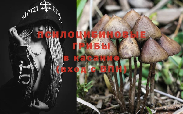 прущая мука Баксан