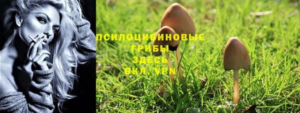 а пвп мука Белокуриха