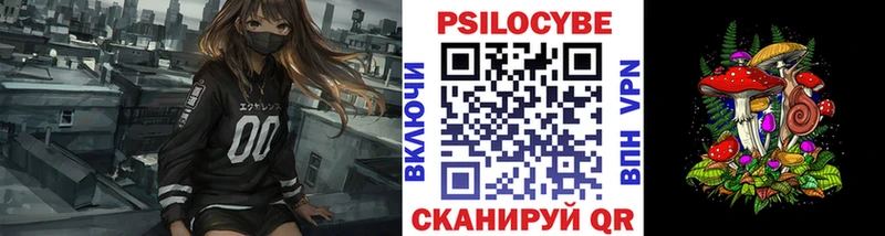Псилоцибиновые грибы Cubensis Лабытнанги